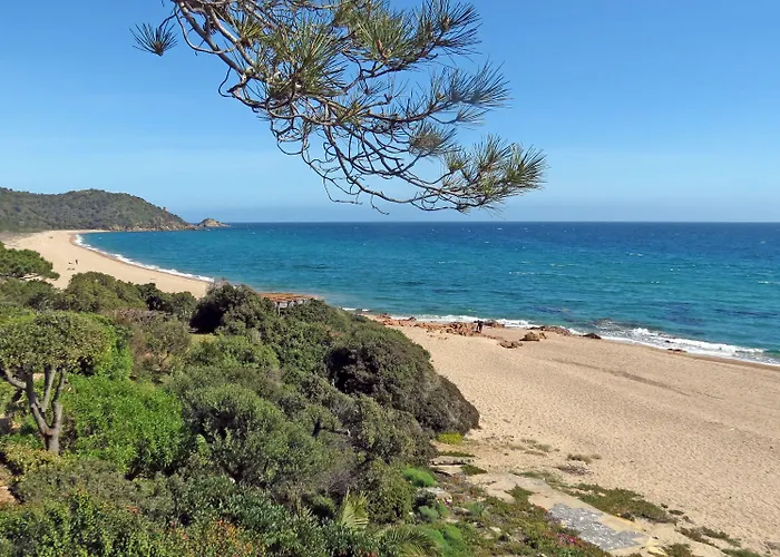 Olmuccio Sainte-Lucie-de-Porto-Vecchio