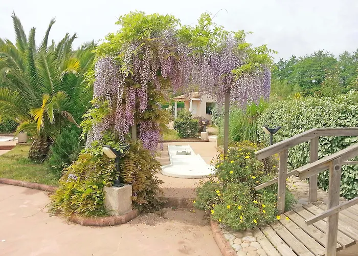 Appart hôtel Olmuccio